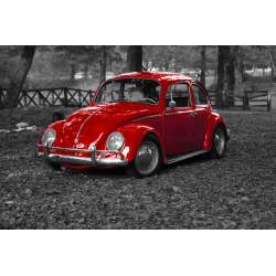 Volkswagen Kever - Foto op plexiglas