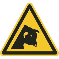 Pas op voor stier vloerstickers